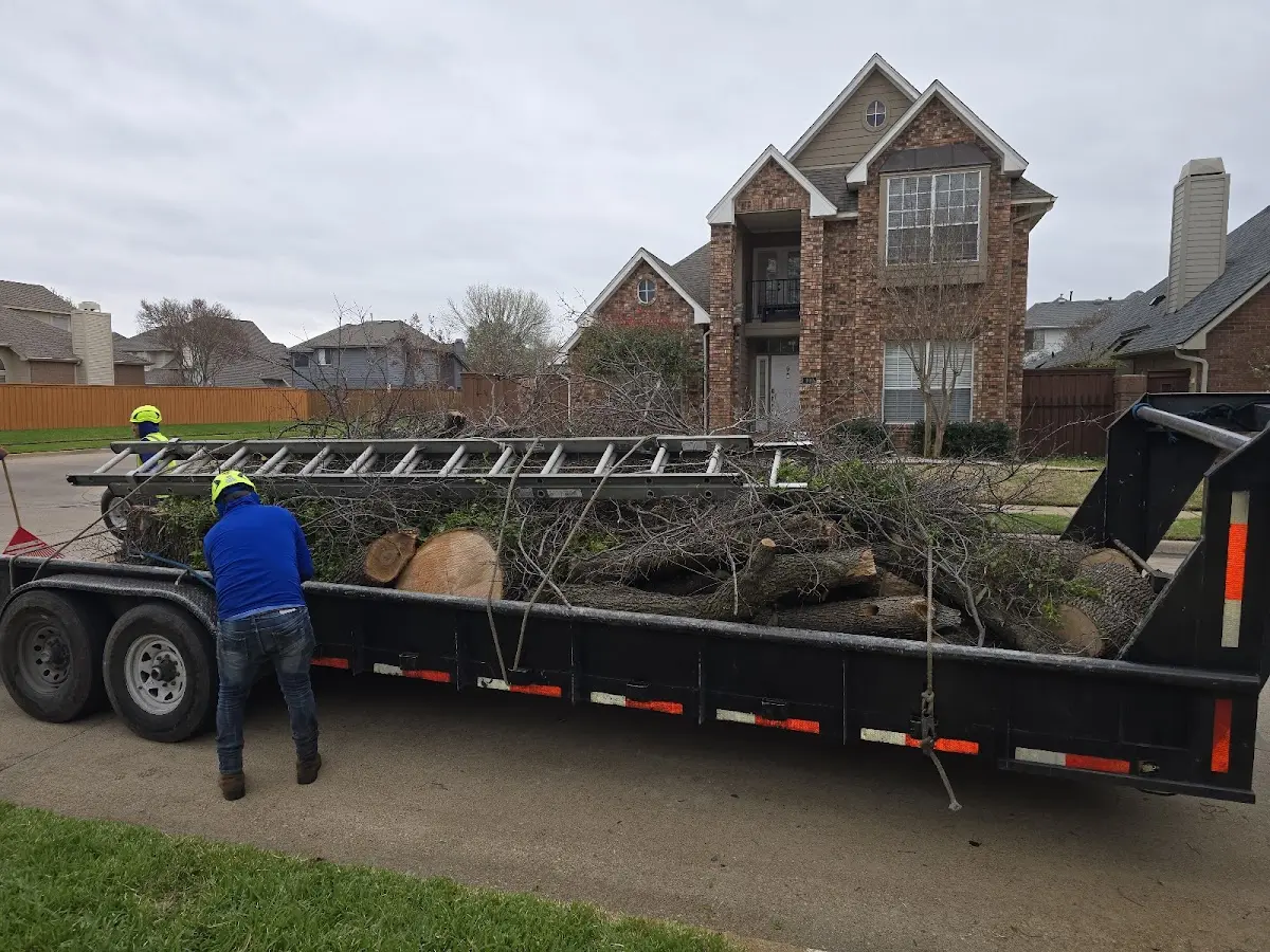 Expert Tree Fertilization with proper safety equipment in Riverbank